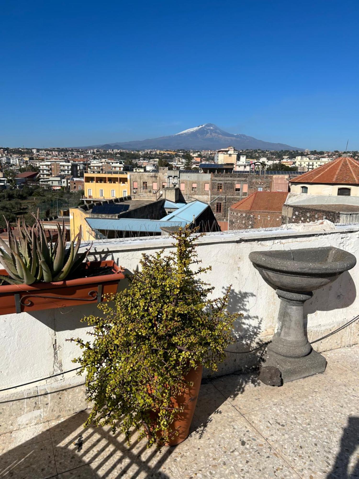 Residenza Parco Gioeni Daire Katanya Dış mekan fotoğraf